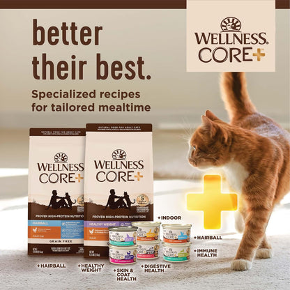Wellness CORE Grain Free Dry Cat Food, High Protein Cat Food, Indoor, Chicken, Turkey & Chicken Meal, Natural, Made in USA, Cat Food, Adult