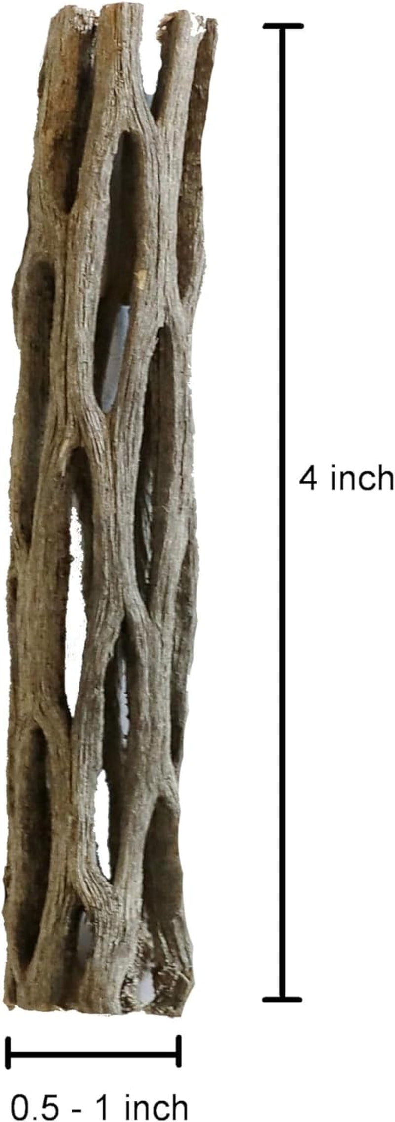 Natural Cholla Wood for Aquarium Decoration, Shrimp, Hermit Crab, Chew Toys for Small Pets