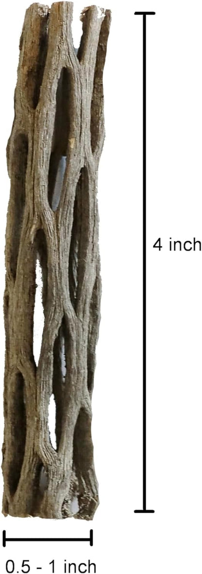 Natural Cholla Wood for Aquarium Decoration, Shrimp, Hermit Crab, Chew Toys for Small Pets