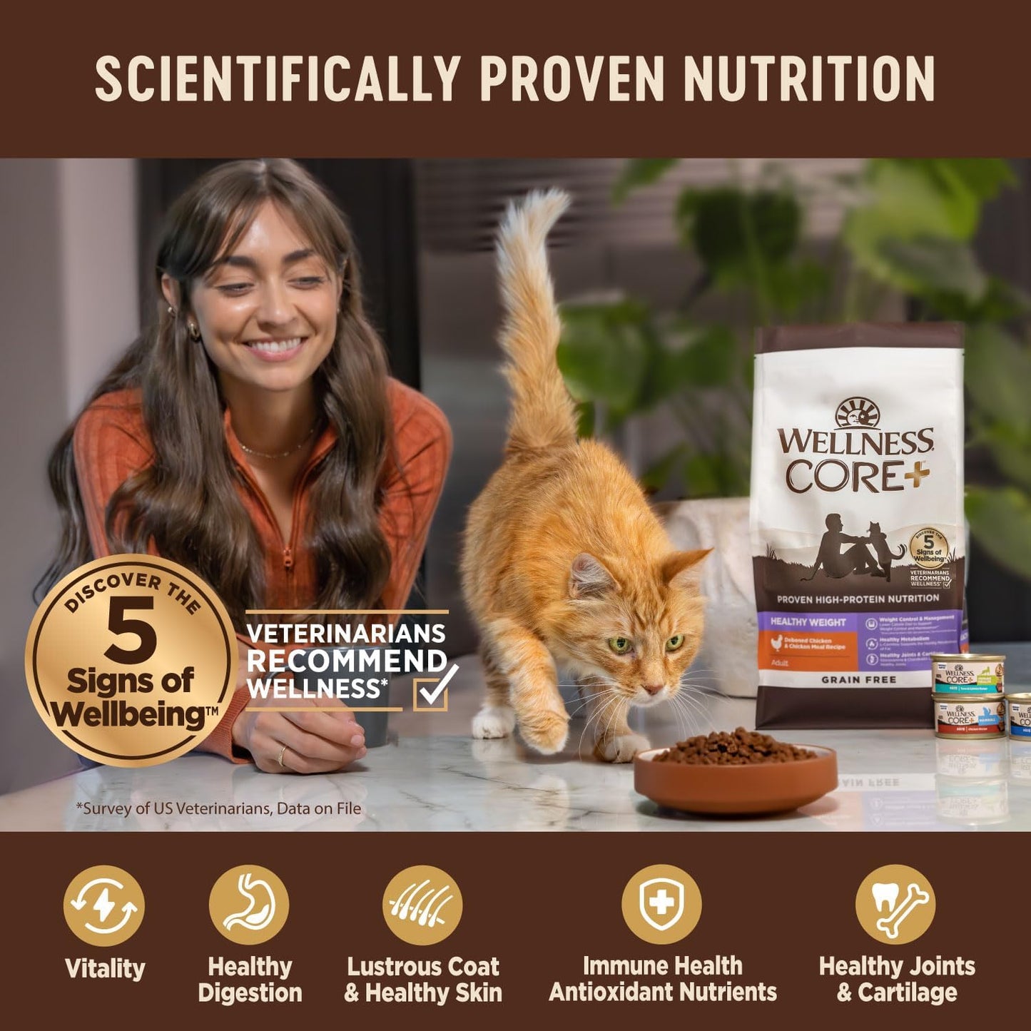 Wellness CORE Grain Free Dry Cat Food, High Protein Cat Food, Indoor, Chicken, Turkey & Chicken Meal, Natural, Made in USA, Cat Food, Adult